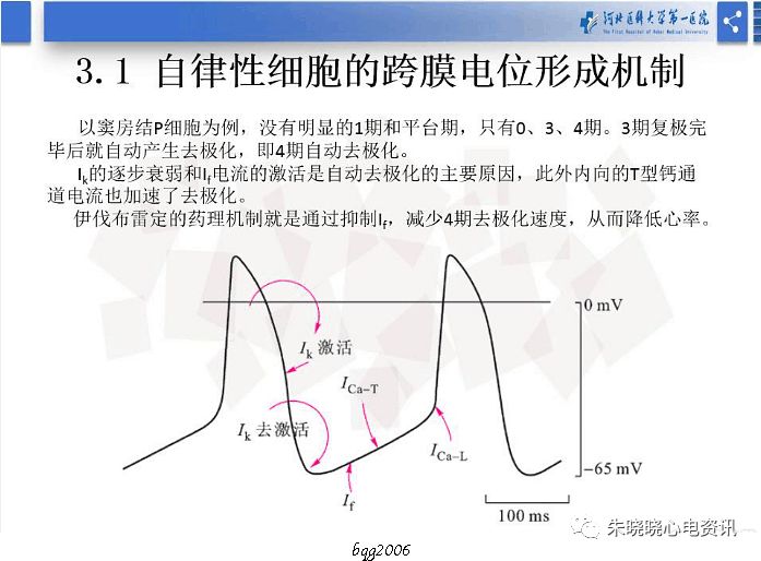 yy语音郑明奇老师心肌细胞电生理基础2019318视频图片