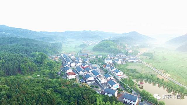 下保村"党建 乡村旅游"结硕果