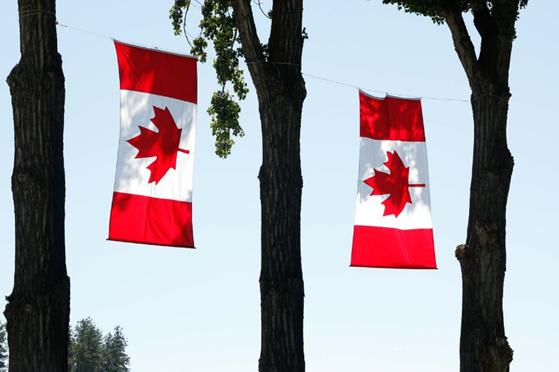 最新表态,加拿大贸易人士呼吁,必须与中国合作