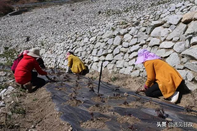 康定县鱼通乡人口普查_人口普查