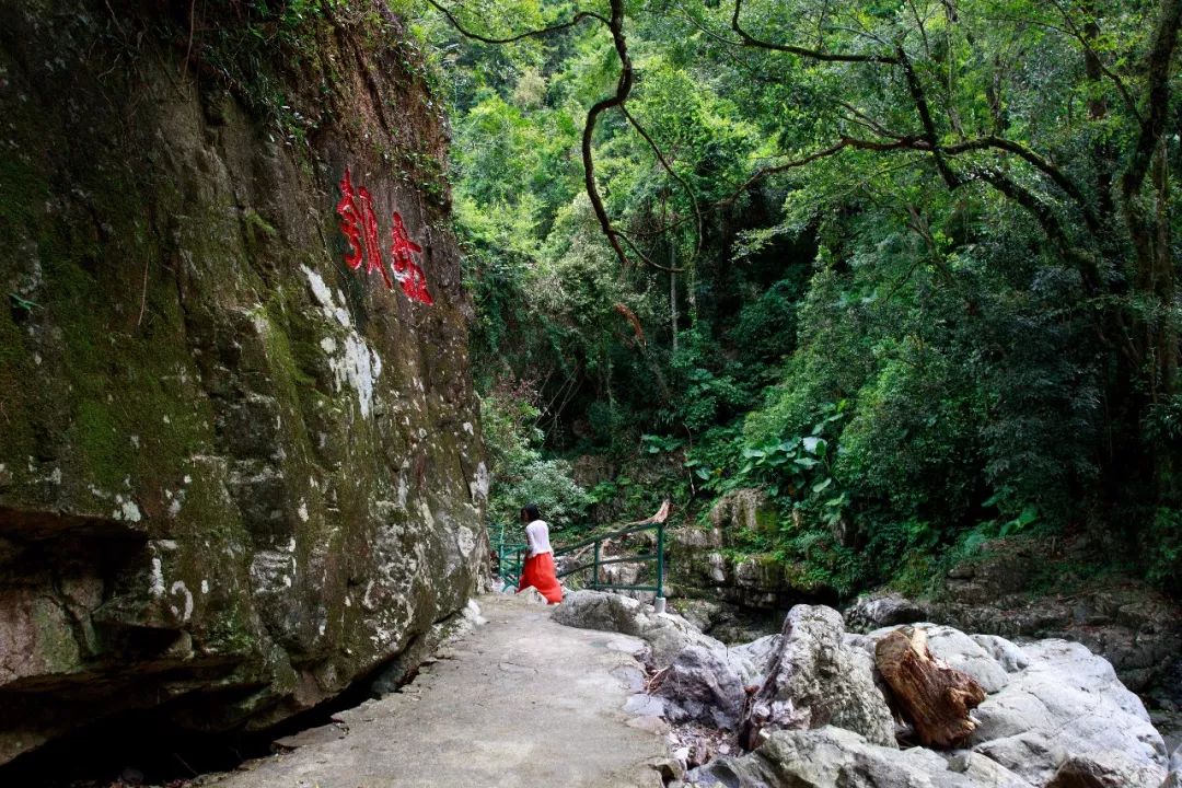 沿着象鼻瀑布拾阶而上,就抵达皇帝洞主景区位置,可看到两山之间,一座