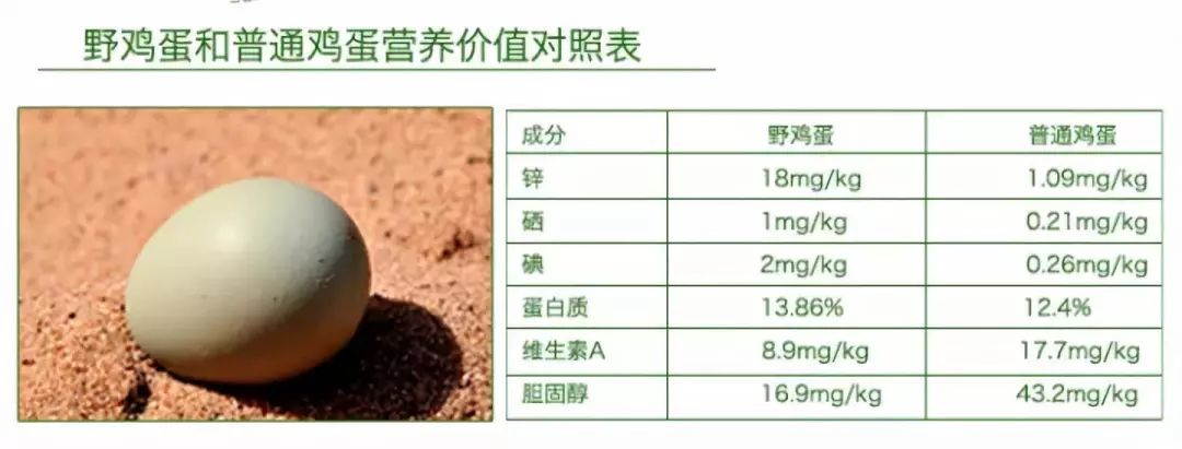 野鸡蛋"山中野味,蛋中人参"美味营养就选它!