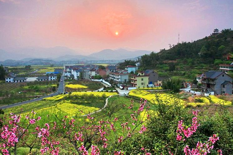 阳山村人口_山村风景