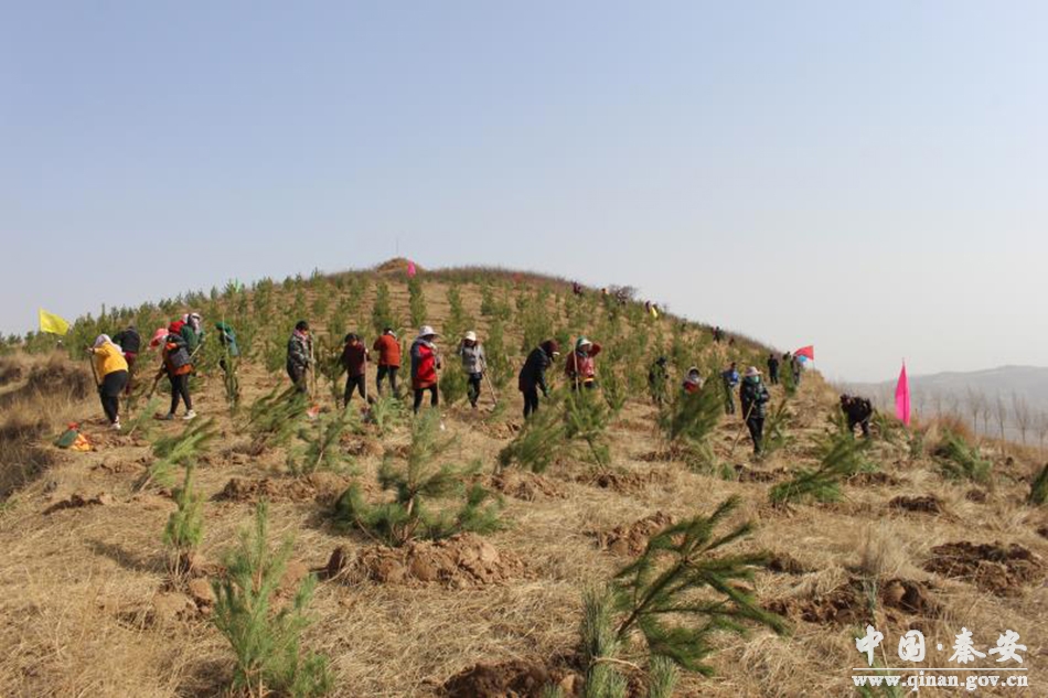 秦安中山镇有多少人口_天水秦安有旅游区吗