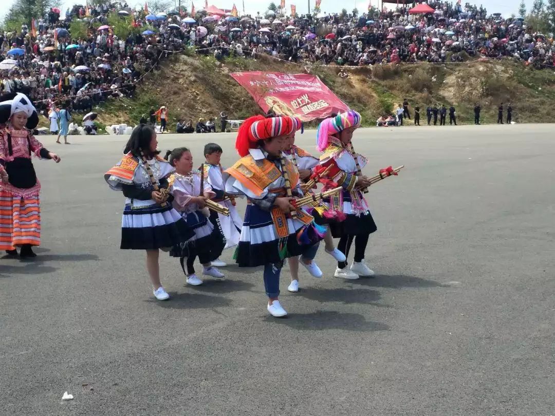 南开苗族跳花节影响面涉及水城,纳雍,赫章,威宁等县的小花苗支系村寨