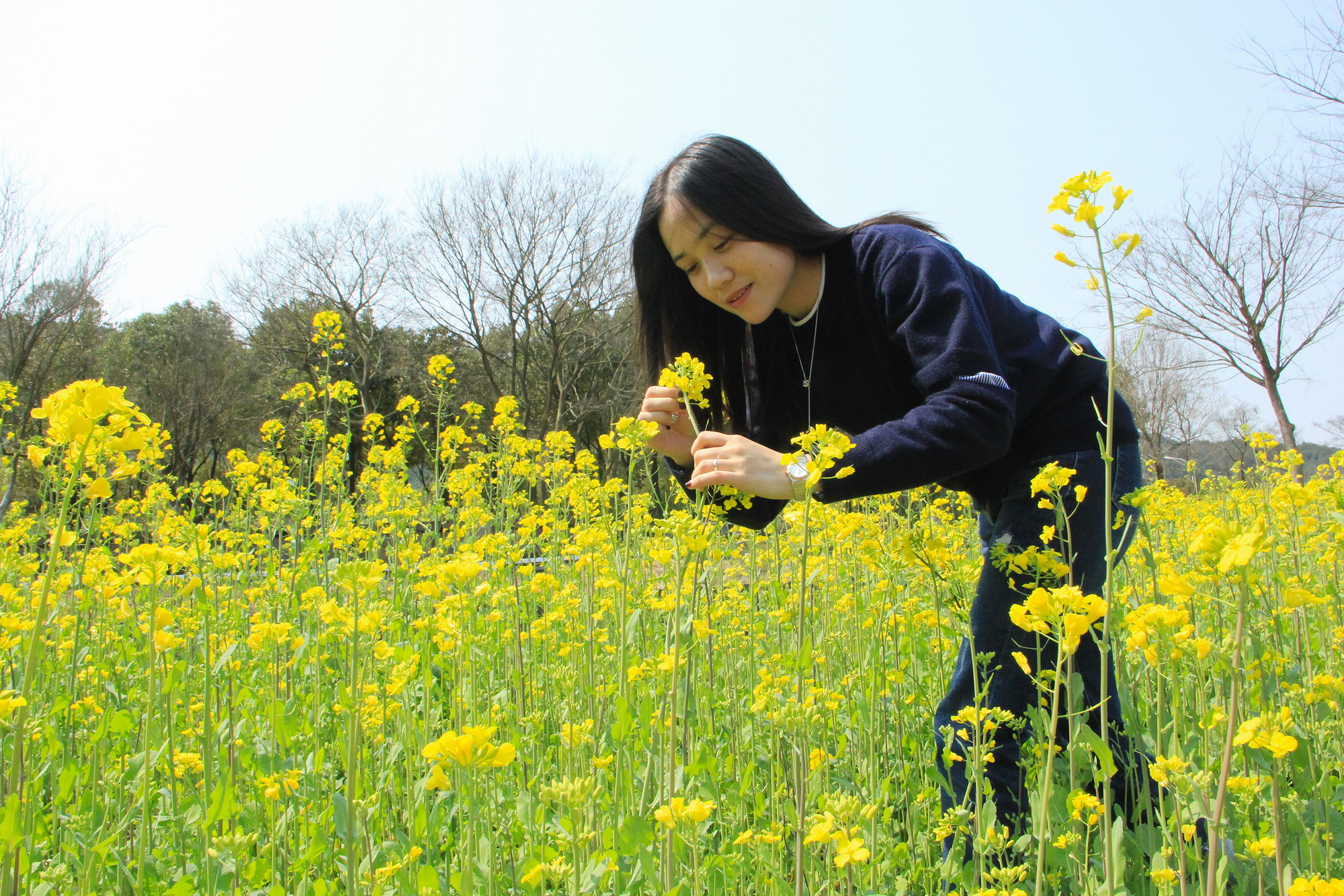 春游踏青赏花何处去?宁波东钱湖彩色梯田掀开面纱首迎