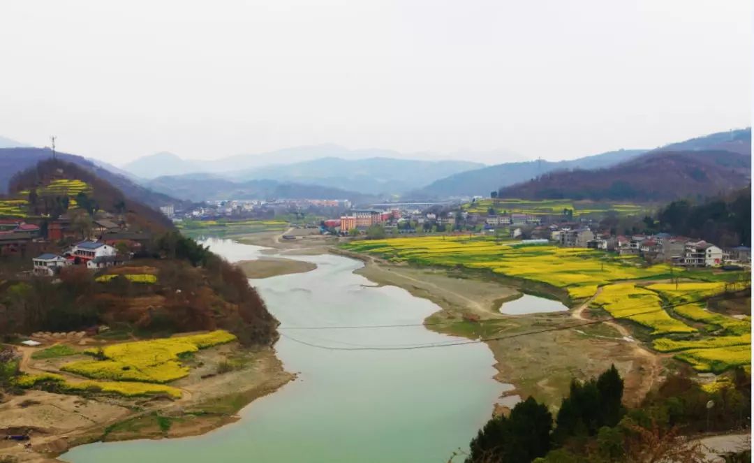 宁强嘉陵江畔菜花黄,去青木川旅途不单调!_阳平关