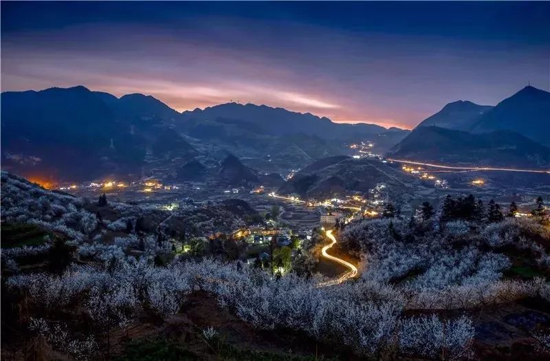 市"金谷秋实·花海双谷"生态体育公园 贵定金海雪山景区(观赏性花卉)