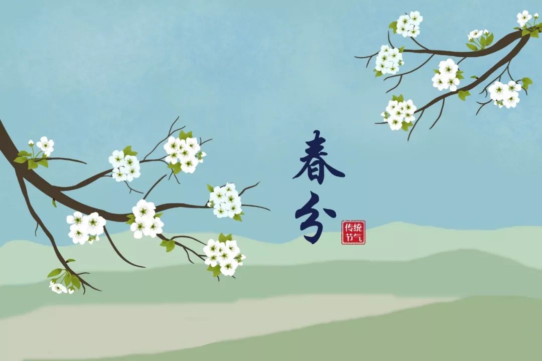 【春分】一年之计在于春,莫负好韶华