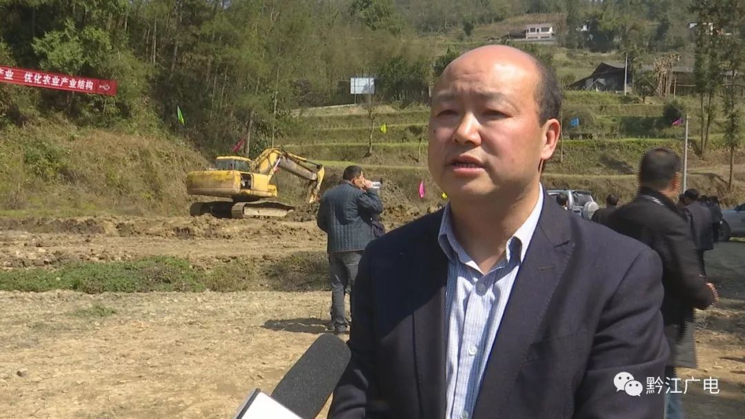 台湾客商来黔江扎进深山建基地养澳洲大龙虾