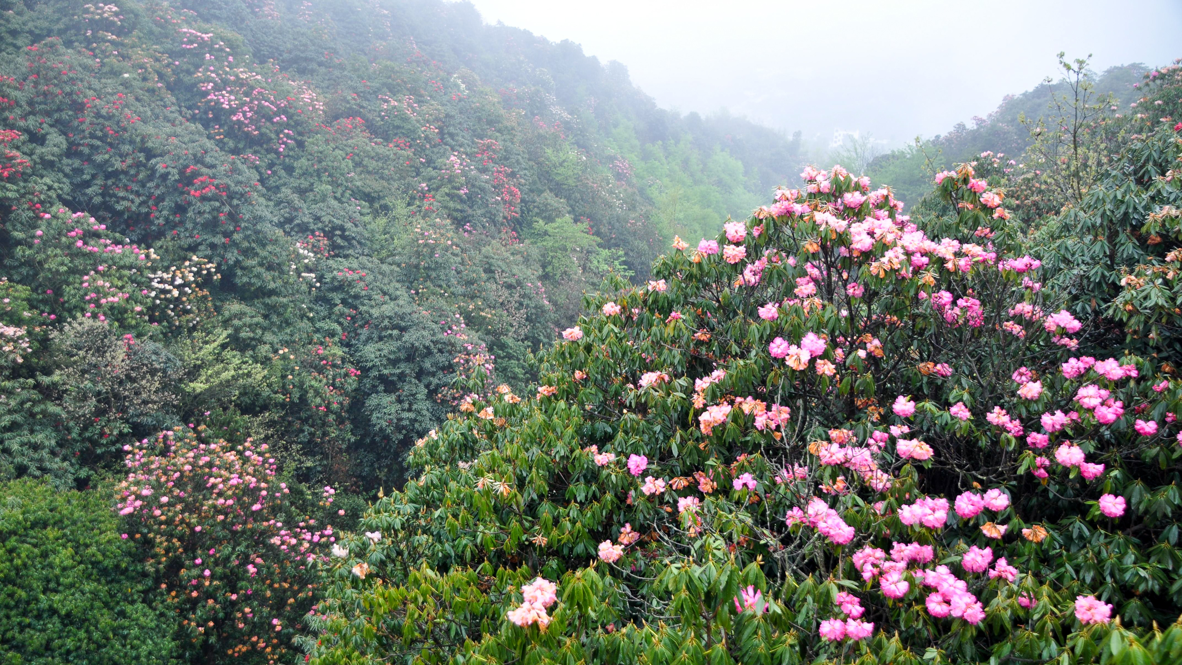人在画中游，这个藏在贵州山区的景区，才是自然给人类最好的礼物