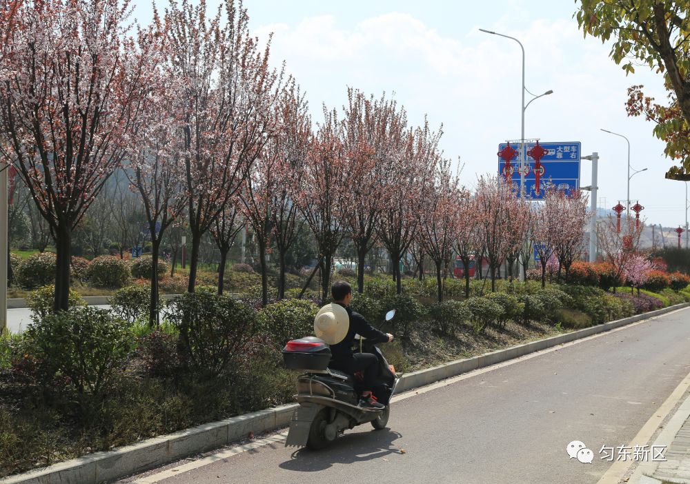 都匀市有多少人口_美丽凯口(2)