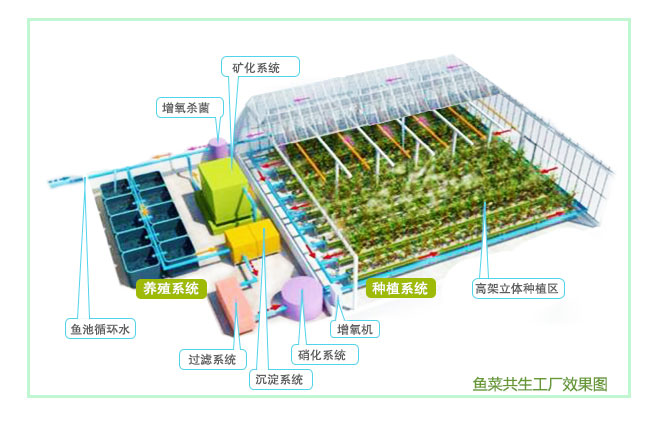 鱼菜哥小高2022年健康养殖达到654个新型水产养殖模式你适合哪