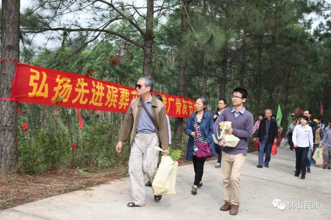 2019骨灰植树开始报名,费用全免还有补贴,一起支持文明殡葬