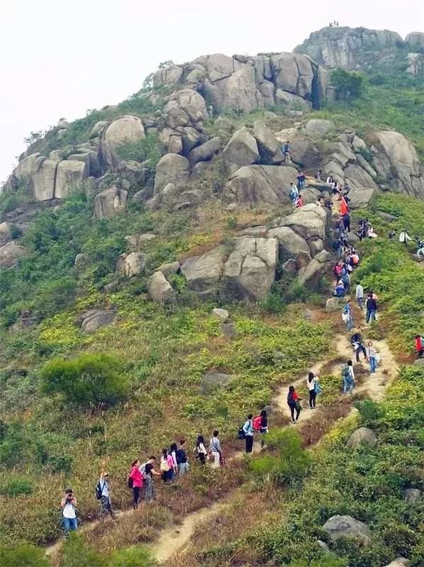 黄杨山是斗门闻名已久的风景胜地,九峰相连,第一峰海拔581米.