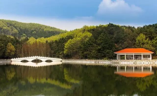 还能在索河看香草花田微风拂过,仿若置身偶像剧同济医院也开到了蔡甸