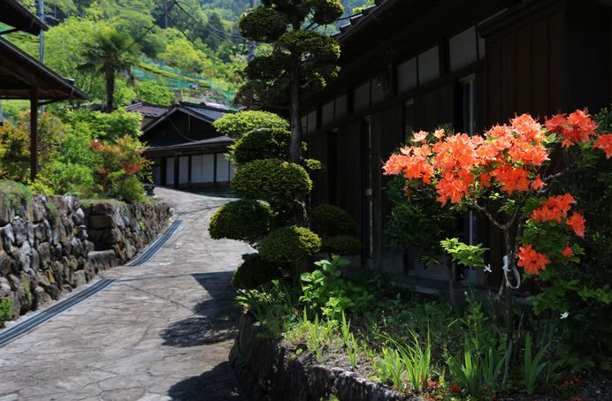 日本山梨人口_日本关东军山梨大将