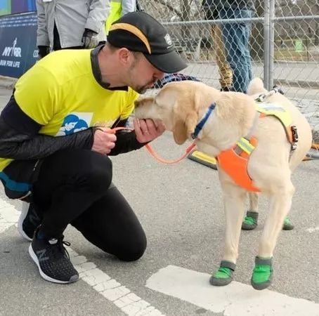 三只导盲犬助盲人小哥圆梦，成功的跑完了21公里的半马