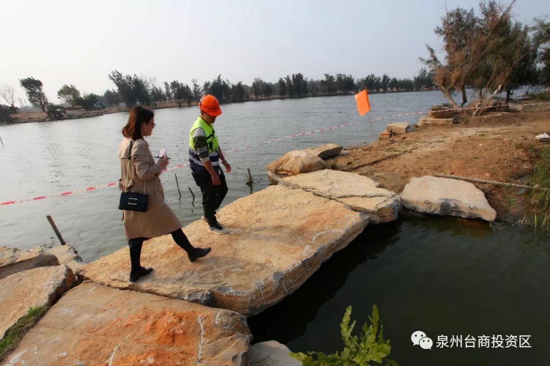 【揭秘】百崎湖生态连绵带大量实景图流出.啥时候能约?