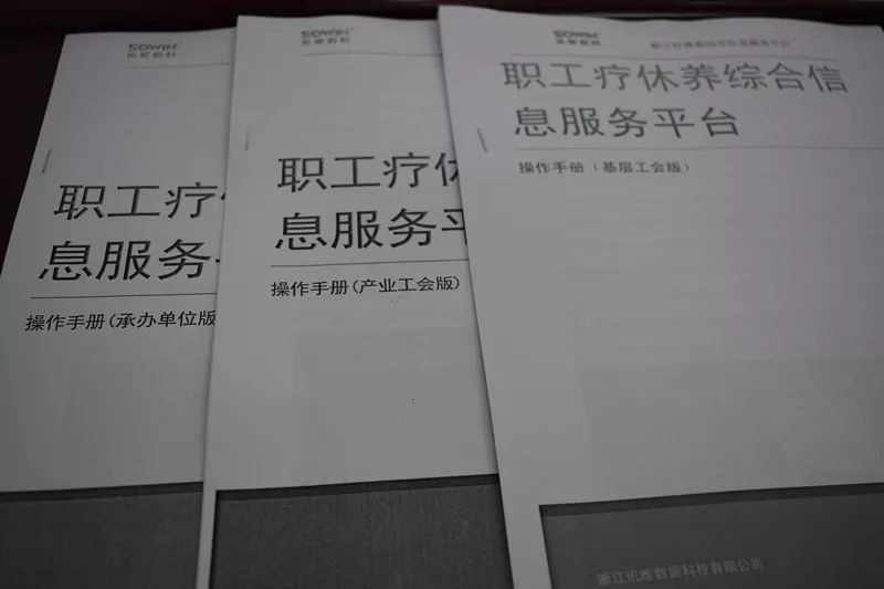 桐琴2019年GDP_2019年各省gdp占比图