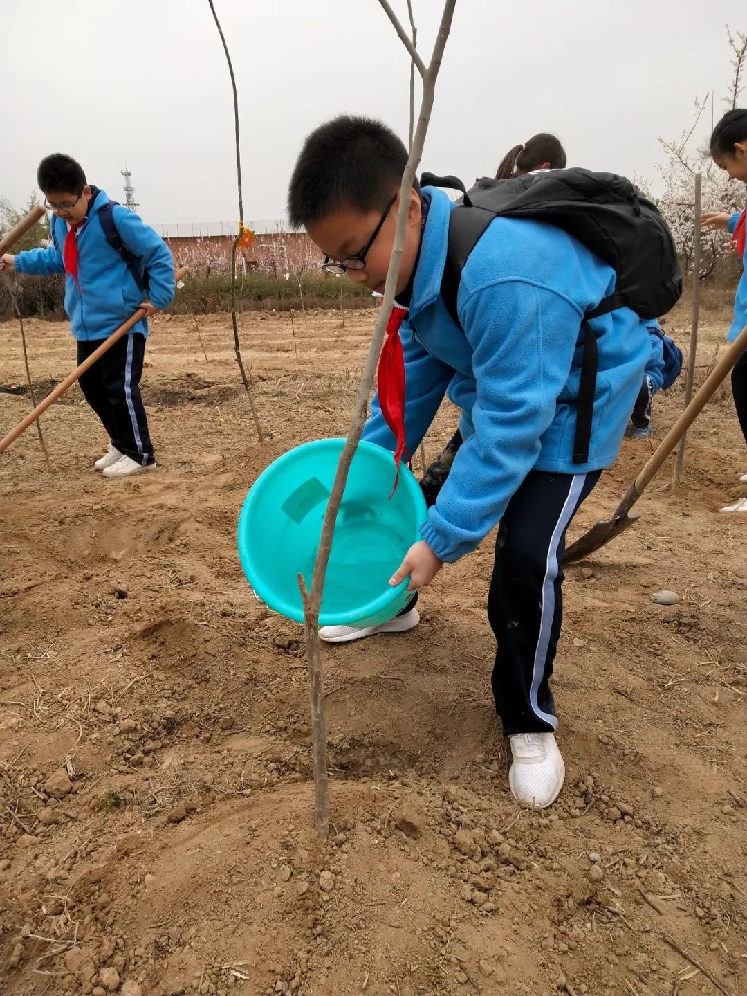 你种树来,我浇水.期待收获一片果实.