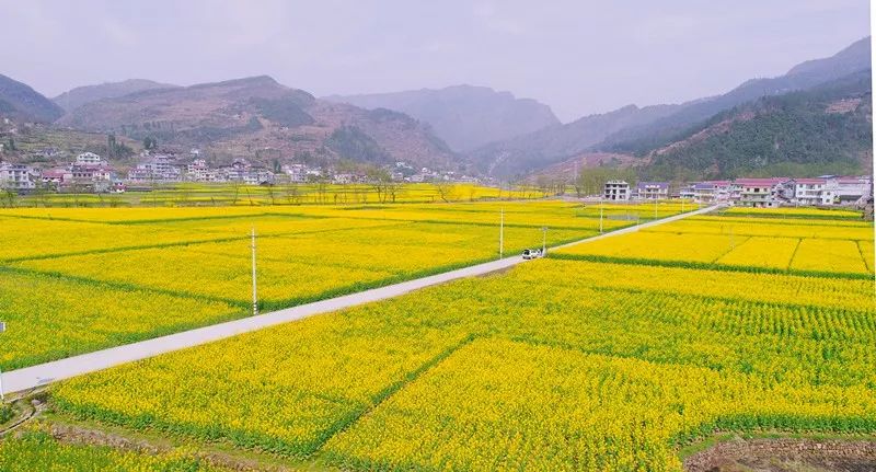 靛房镇人口_龙山县靛房镇风景区(3)