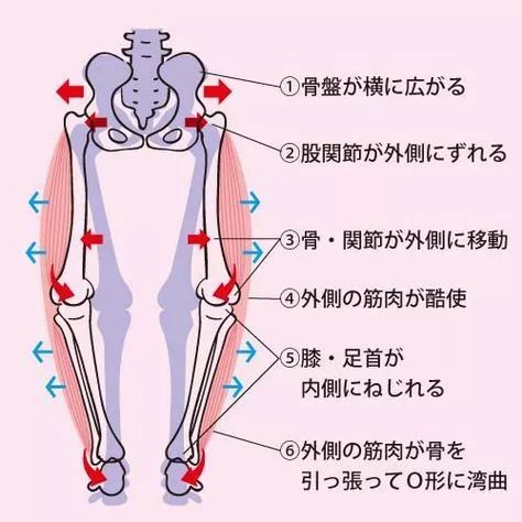 你的双腿合得拢吗 女人的双腿分得越开 说明 理疗瑜伽 肌肉