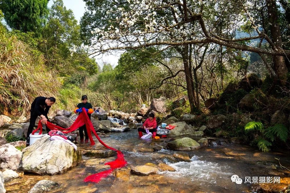 乡村行——白岩下村_温峤镇