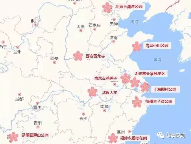 【心灵之隅】樱花地图|不用去日本也可以浪漫满樱_赏樱