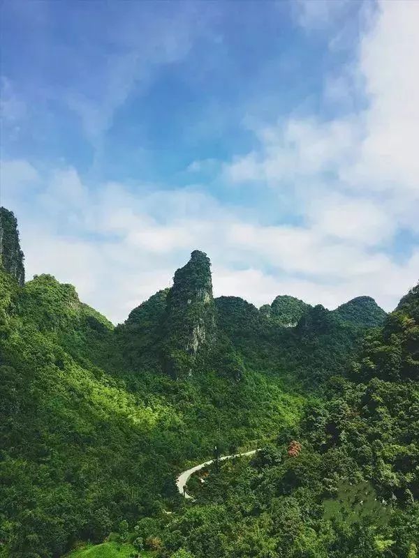 羊山村人口_马山县羊山村航拍