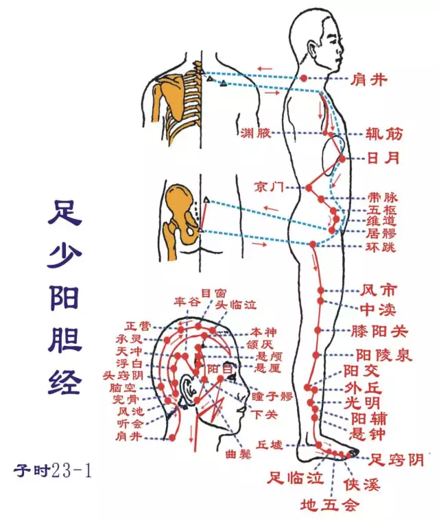 干货十二经络及原穴络穴输穴图文总结