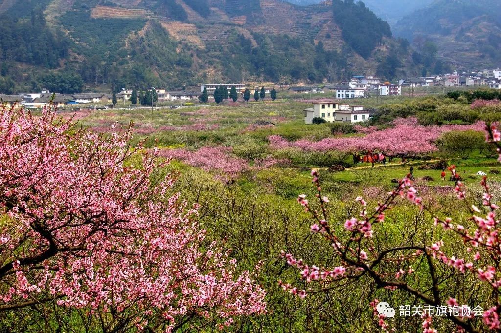 最美家乡*快乐昌盛2019年乐昌市桃花节