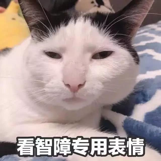 看智障专用表情