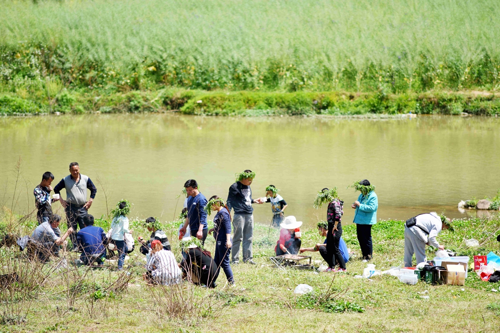 会东多少人口_会东中学图片(2)