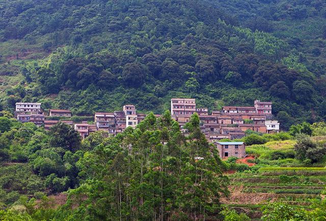 阳江人口历史_阳江红色历史图片(3)