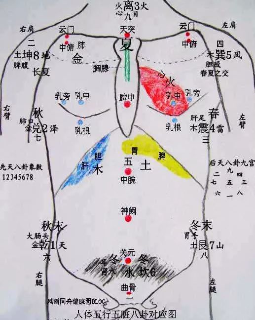 推拿秘籍|《脏腑图点穴法》脏腑推拿的秘本技法