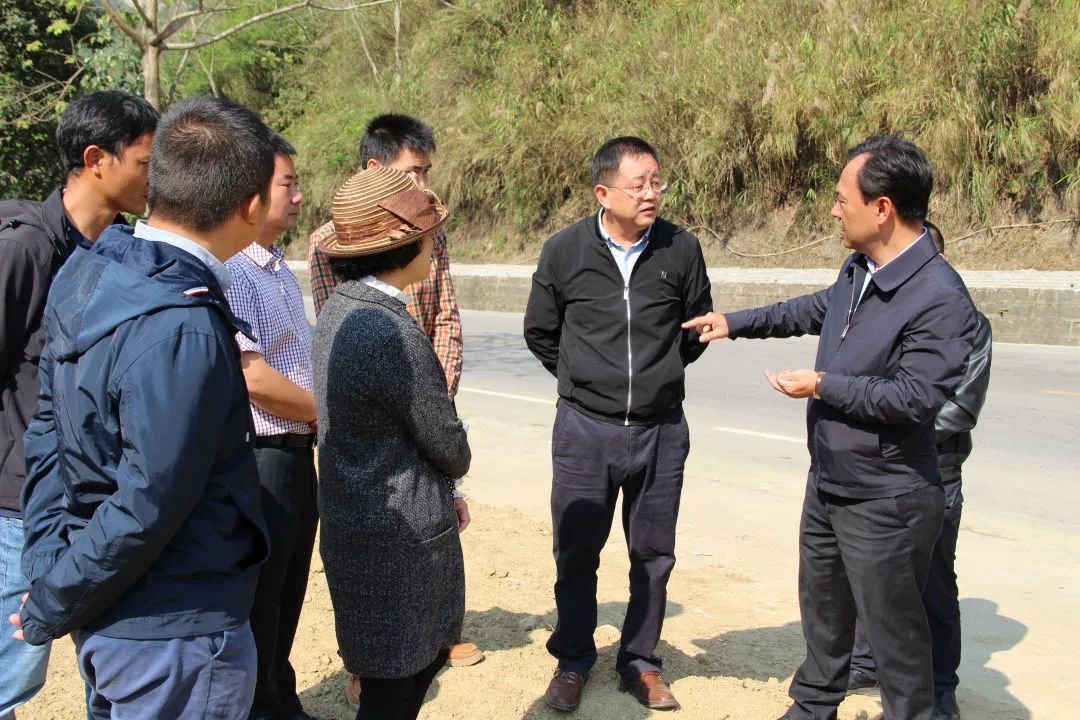 【动态】市委副书记,市长王峥调研个元路沿线环境综合