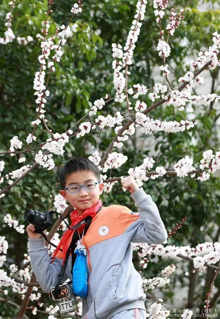 美!万朵杏花下的罗店小学生摄影活动