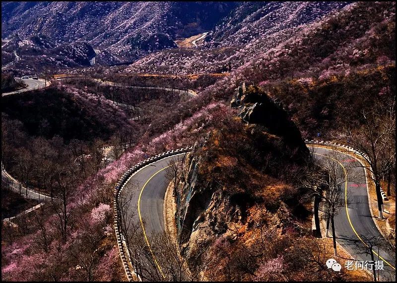 实拍:京郊最美公路再现一年一度醉美春色_昌赤路