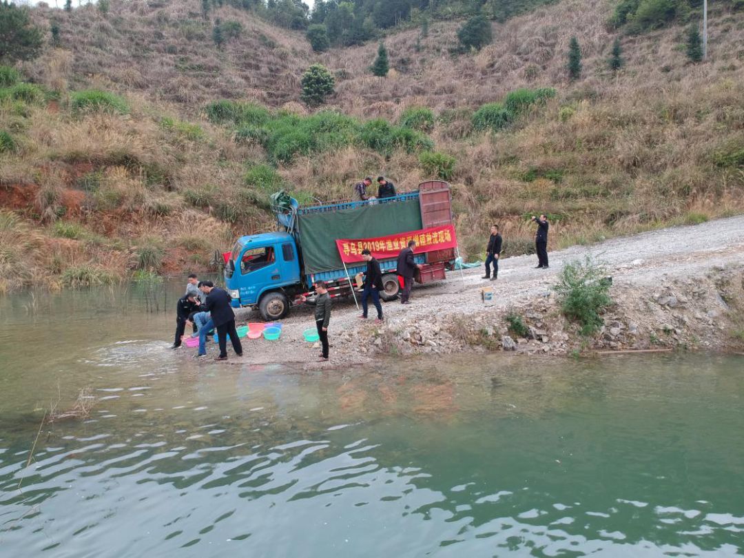 太湖水库投放鱼苗 提升水生态环境_寻乌县