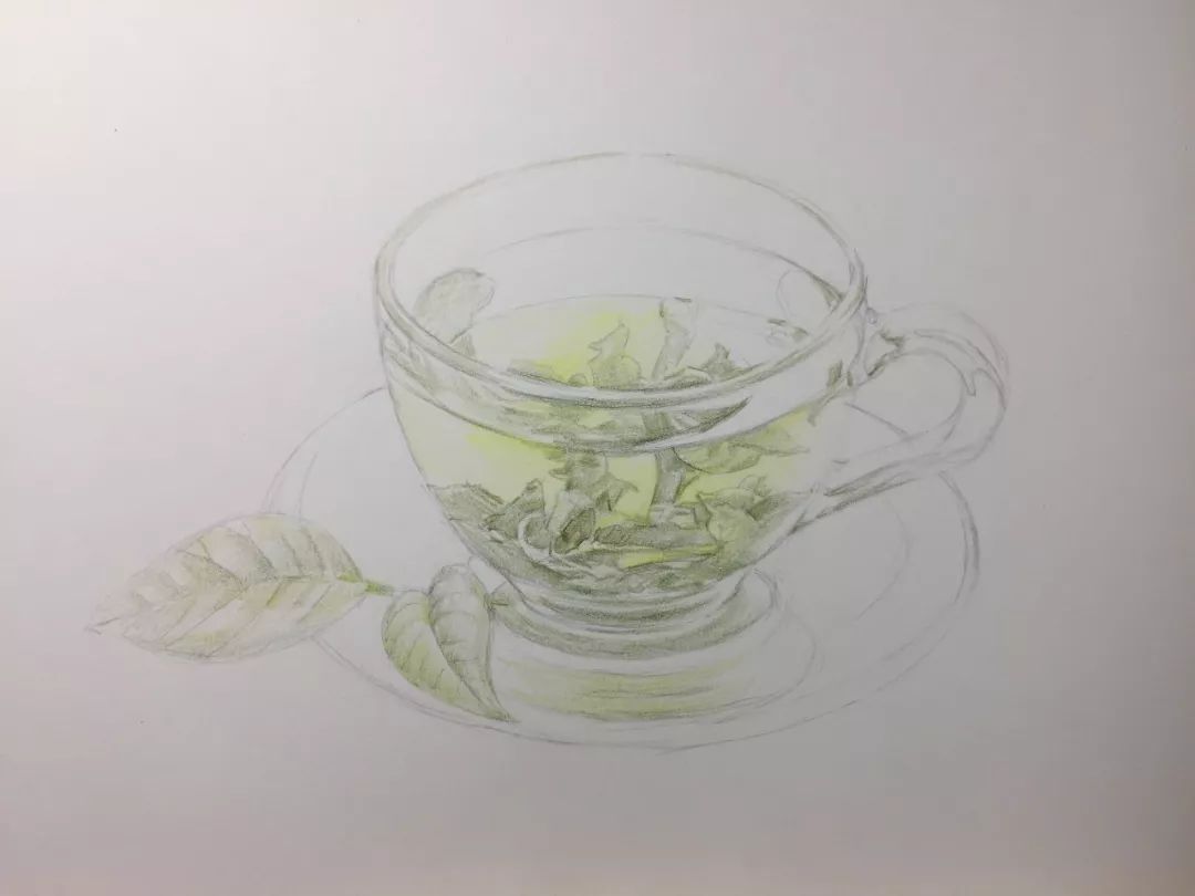 橄榄绿勾画茶叶的轮廓,顺便用橄榄绿 黄绿色为茶叶铺上底色.