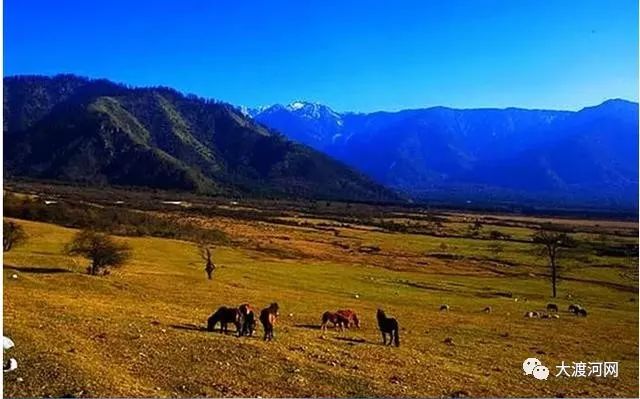 冷门旅游文化:雷波马湖,石棉孟获城,乐山大瓦山,理县孟屯河谷