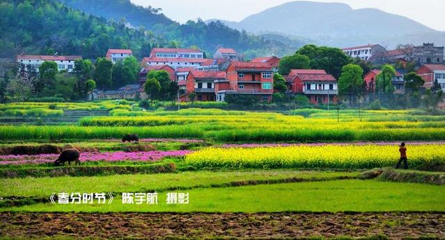 花桥镇猴儿笼花桥镇横山头花桥镇杨二岭花桥镇罗汉寺余川镇余冲余川镇