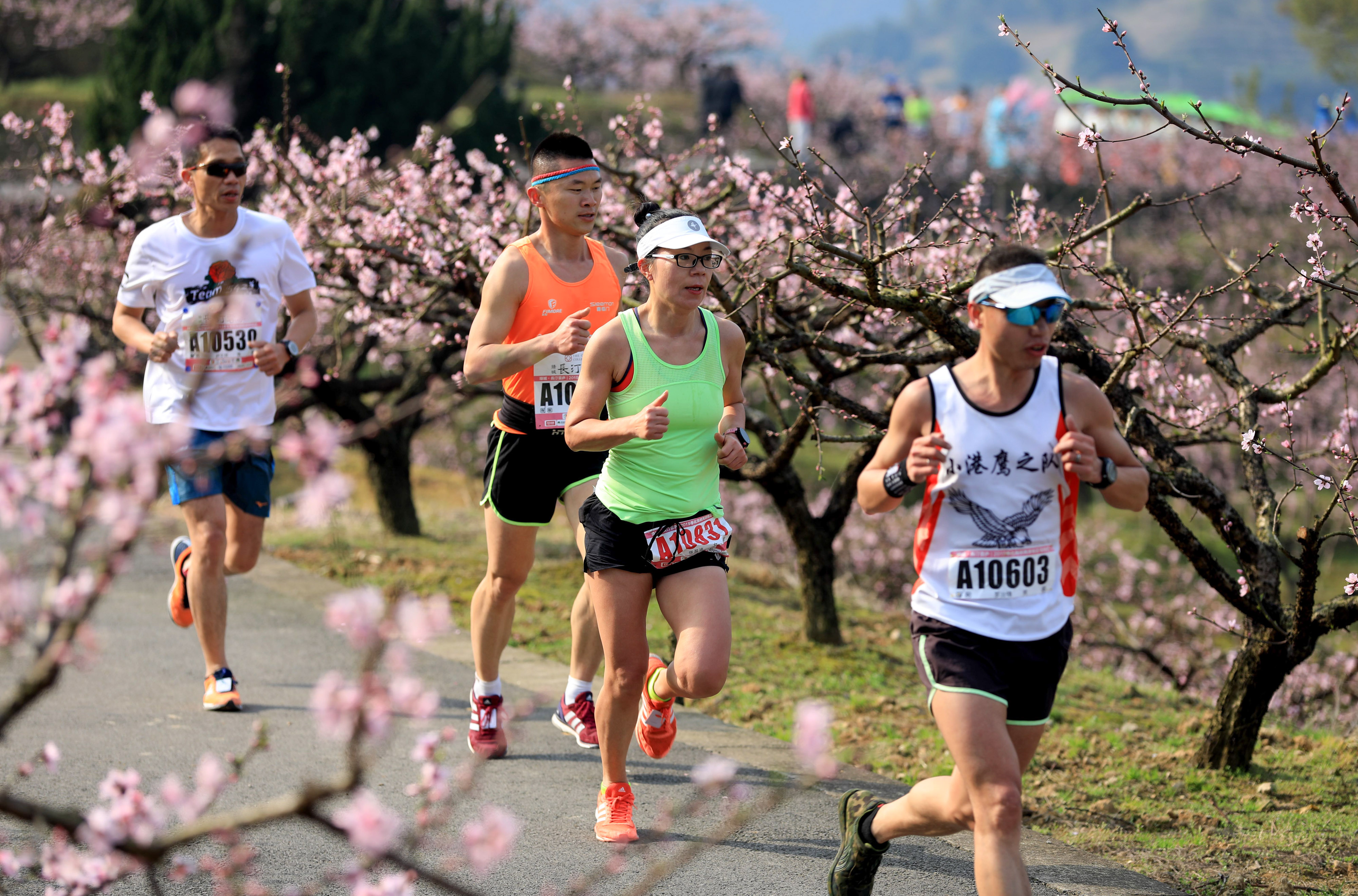 田径——2019海峡两岸桃花马拉松赛在宁波奉化举行