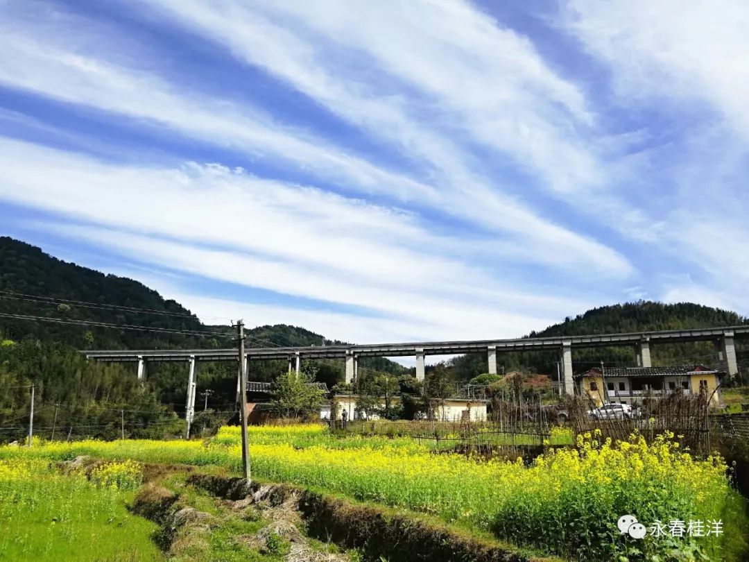 永春桂洋镇下岸百亩油菜花邀您一起赏春咯