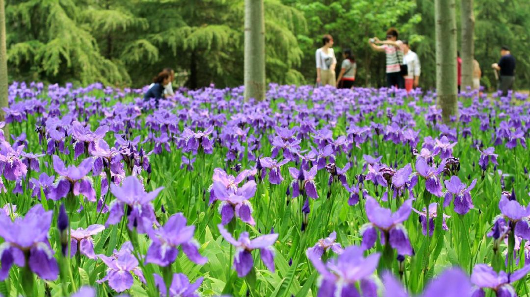 章丘跟莱芜经济总量_章丘莱芜火烧电话(2)