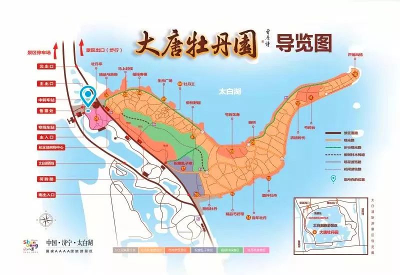 该园引进国内外牡丹名品1000余个,涵盖九大色系,十大花型,种植60余万