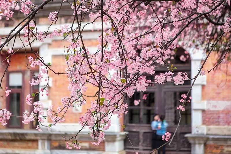 这场春天里的大学校园选美,你pick谁?