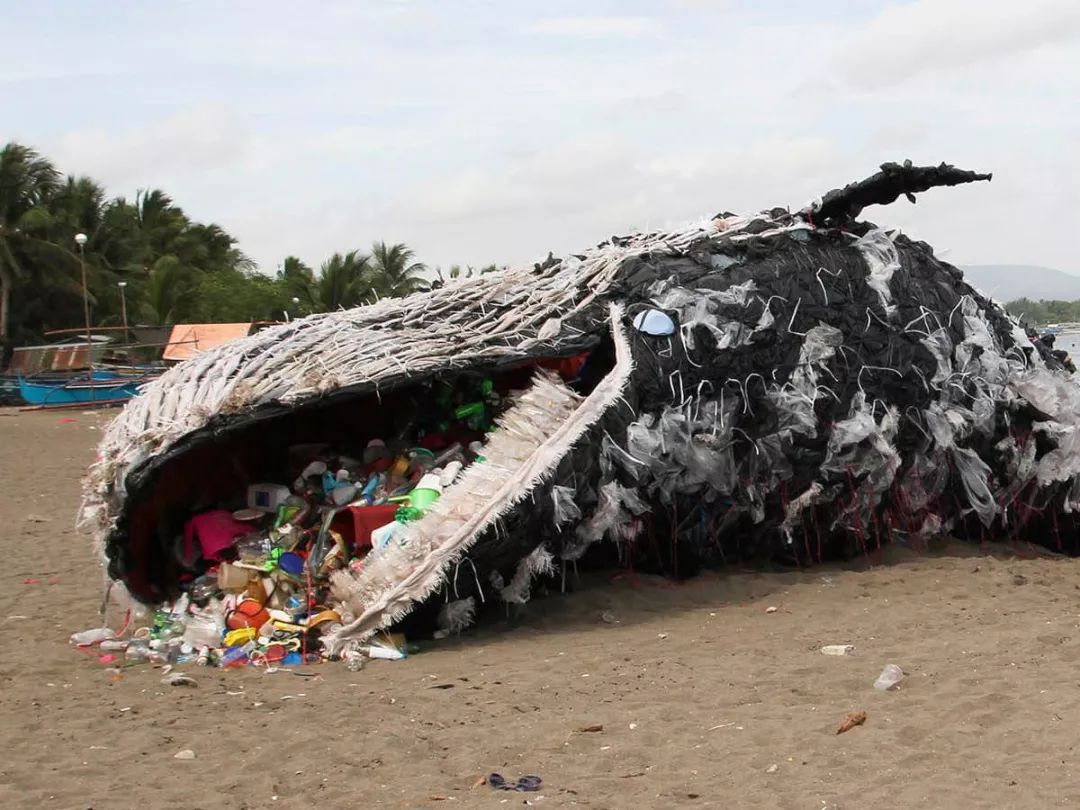 有超过600万吨塑料被扔进海里 它们不仅污染了海水 还成为了海洋动物