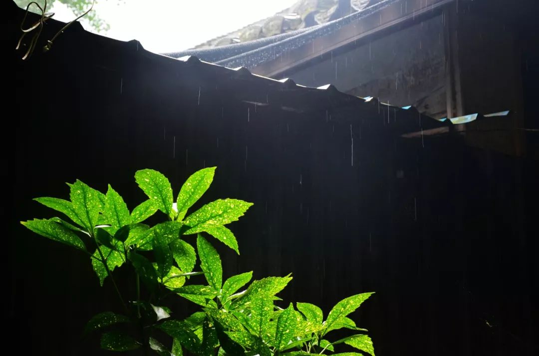 十首听雨诗词:雨声淅沥,你在思念谁